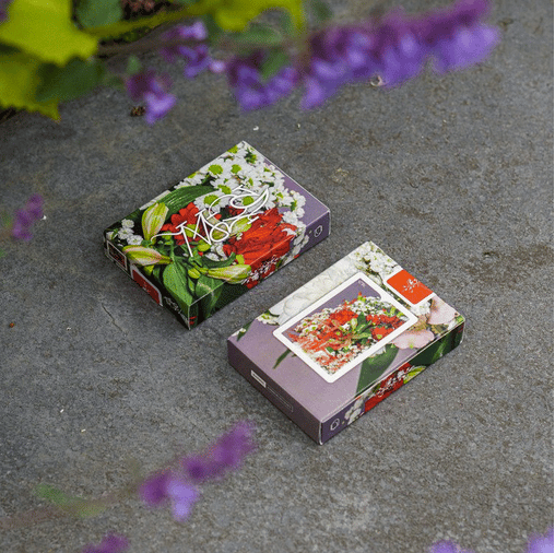 Sepal Serene Playing Cards by Dealersgrip | X-Decks Playing Cards