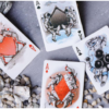 Discovery Final Frontier (Red) Playing Cards by Elephant Playing Cards - Image 3