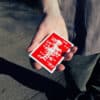 新品未開封 NAT Playing Cards 1個 SPNN601P Plastic Playing Cards, Red Pattern, Bridge Size