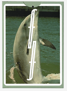 Flipper Fontaine Playing Cards | X-Decks Playing Cards