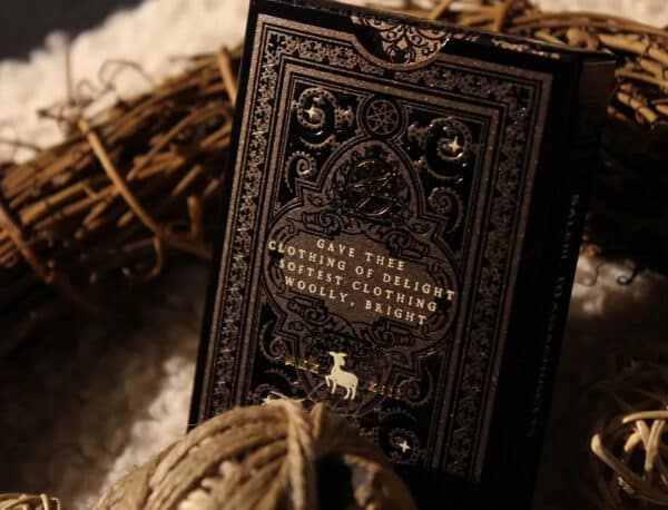 Lazarus Playing Cards by Nicolai Aaroe - Image 5