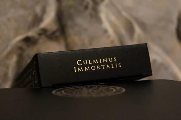 Incarnum Playing Cards by Nicolai Aaroe - Image 3