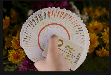 Midsummer Playing Cards | Standard Edition Playing Cards by Room One - Image 10