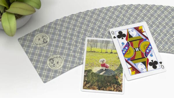 Raya Playing Cards by Daniel Schneider - Image 7