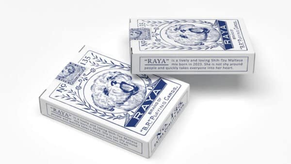 Raya Playing Cards by Daniel Schneider - Image 3