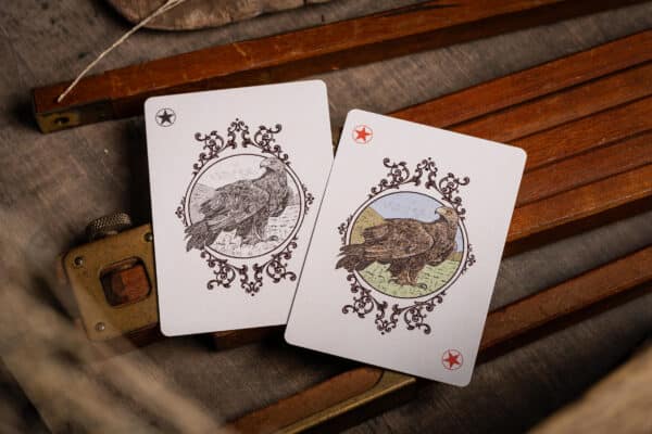 GILDED GOLDEN EAGLE No. 7 VINTAGE PLAYING CARDS (NUMBERED) by A Haines - Image 10
