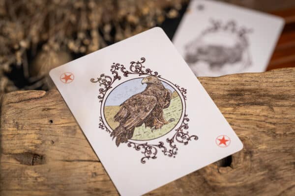 GILDED GOLDEN EAGLE No. 7 VINTAGE PLAYING CARDS (NUMBERED) by A Haines - Image 4
