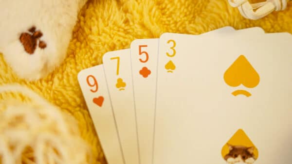 Cat & Dog Playing Cards by TCC - Image 15