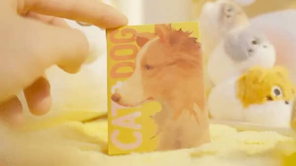 Cat & Dog Playing Cards by TCC - Image 3