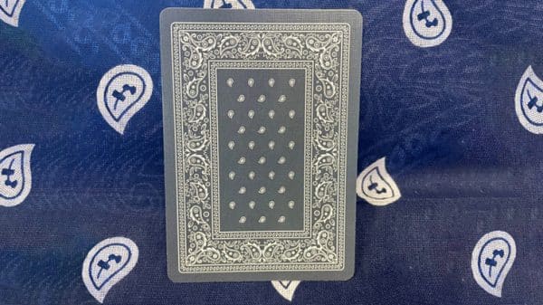 Gilded Bicycle Bandana (Blue) Playing Cards by US Playing Cards - Image 2