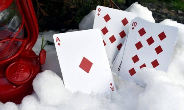 Cardinals Poker Playing Cards by Randy Butterfield - Image 11