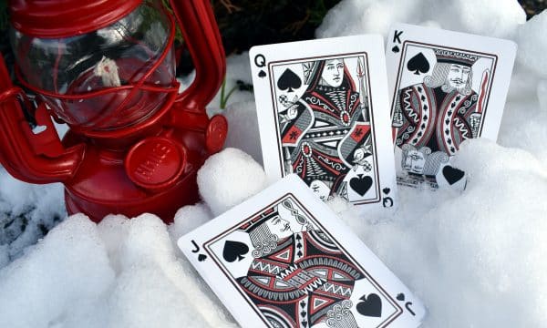 Cardinals Poker Playing Cards by Randy Butterfield - Image 12