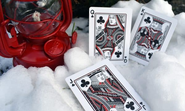 Cardinals Poker Playing Cards by Randy Butterfield - Image 14