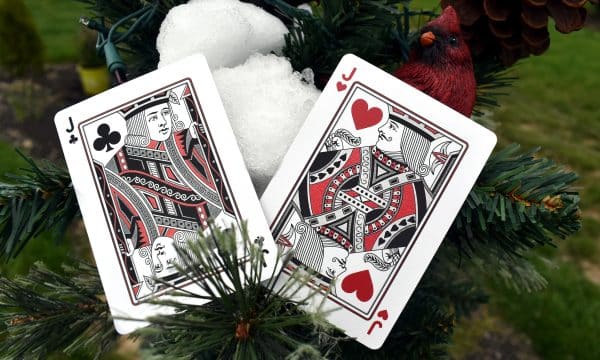Cardinals Poker Playing Cards by Randy Butterfield - Image 16