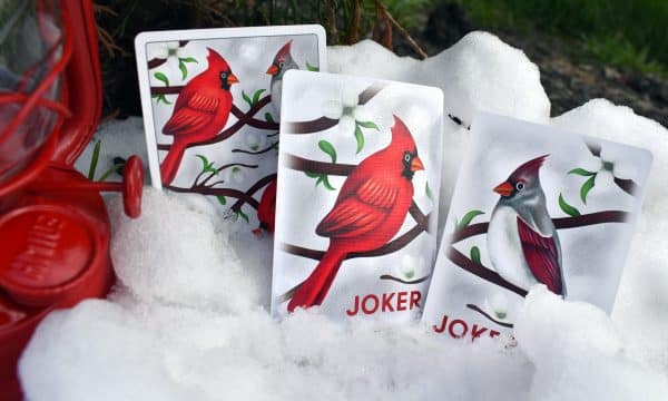Cardinals Poker Playing Cards by Randy Butterfield - Image 19
