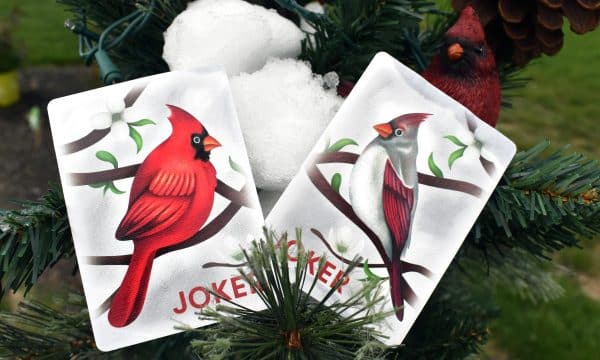 Cardinals Poker Playing Cards by Randy Butterfield - Image 10