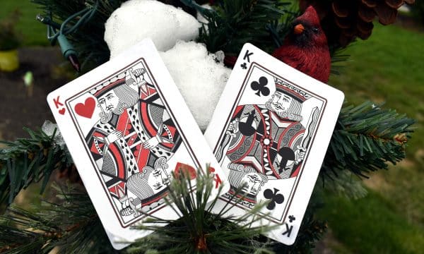Cardinals Poker Playing Cards by Randy Butterfield - Image 5