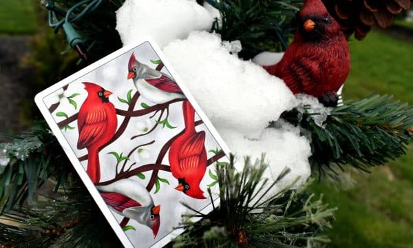 Cardinals Poker Playing Cards by Randy Butterfield - Image 4