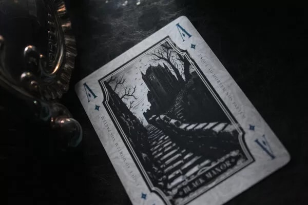 Iron Hollow-Ravenclaw Silver Gilt Edged Playing Cards by Nicolai Aaroe - Image 14