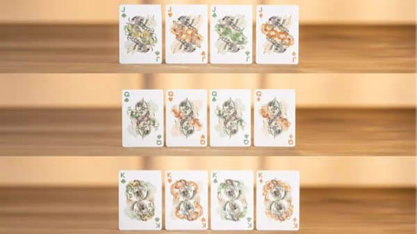 Bicycle Mascot (White Marsh) Playing Cards by USPCC - Image 3