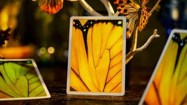 Amber Golden Morpho Playing Cards by TCC - Image 7