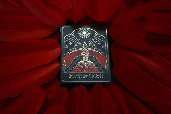 Shahnameh Playing Cards: Classic Edition by Shabidesign - Image 14