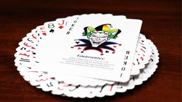 Spectrum Tally Ho Deck Playing Cards by USPCC - Image 2