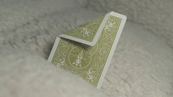 Bicycle Gino the Croco Playing Cards by USPCC - Image 2