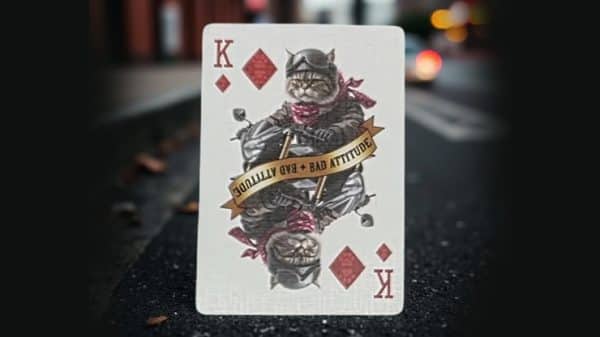 Biker Cats Playing Cards by Collectable Playing Cards - Image 6
