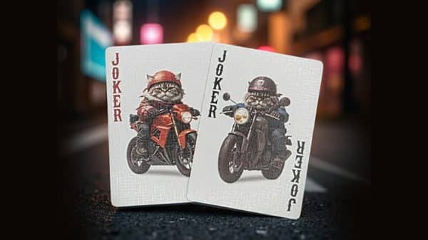 Biker Cats Playing Cards by Collectable Playing Cards - Image 4