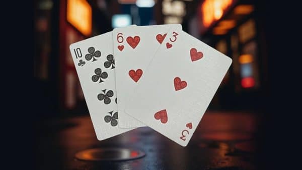 Biker Cats Playing Cards by Collectable Playing Cards - Image 2