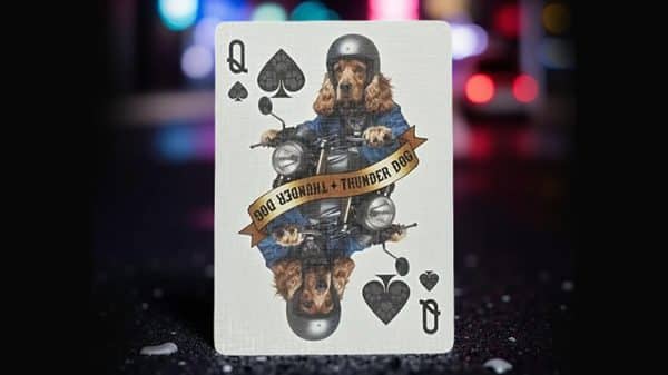 Biker Dogs Playing Cards by Collectable Playing Cards - Image 6