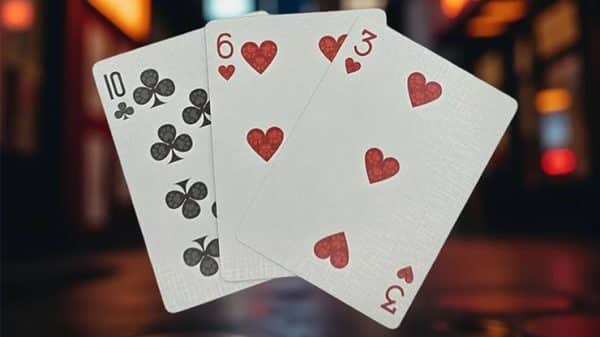 Biker Dogs Playing Cards by Collectable Playing Cards - Image 5