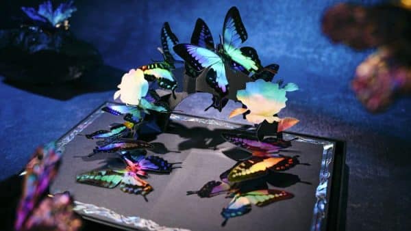 Morpho V2 All In Collection Boxset by TCC Fashion - Image 7