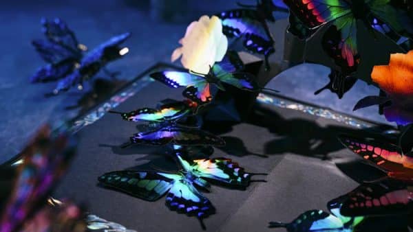 Morpho V2 All In Collection Boxset by TCC Fashion - Image 6