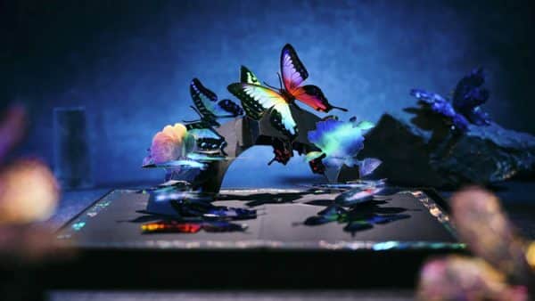 Morpho V2 All In Collection Boxset by TCC Fashion - Image 5