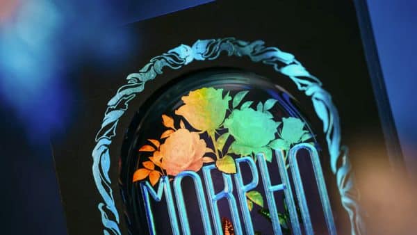 Morpho V2 All In Collection Boxset by TCC Fashion - Image 4