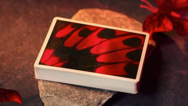 Morpho V2 Carmine Playing Cards by TCC Fashion - Image 10