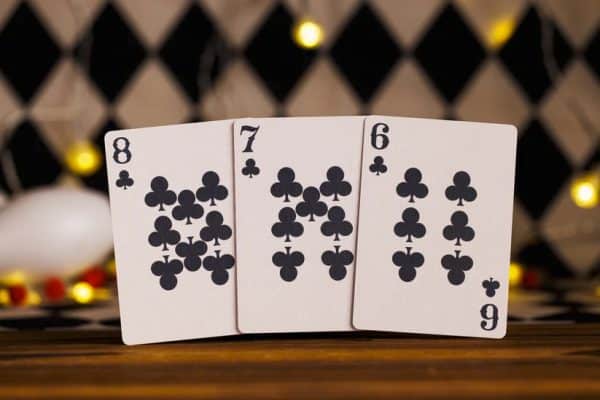 Night at Circus Playing Cards - The Animal Show (Standard Edition) by Room One - Image 6