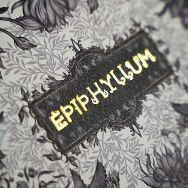 Epiphyllum Gift Box by AboutCardistry - Image 19