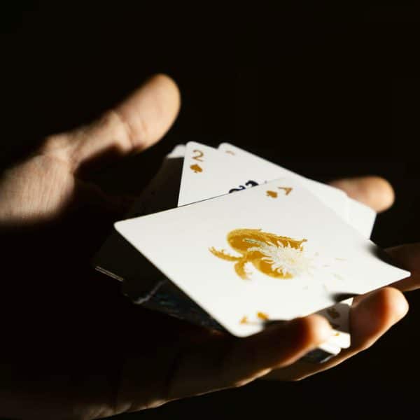 Epiphyllum Gift Box by AboutCardistry - Image 14