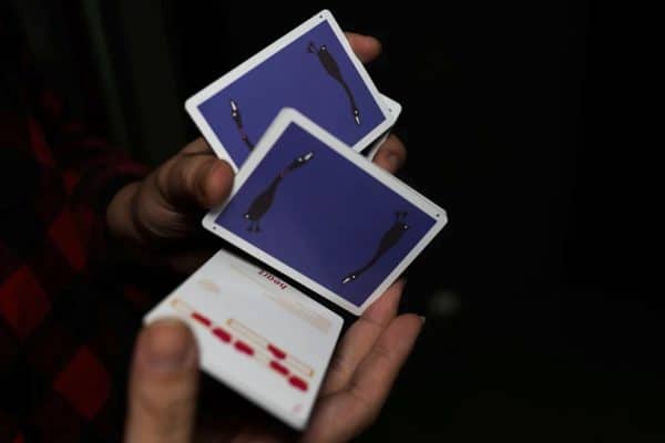 Goose V2 Playing Cards by AboutCardistry - Image 7