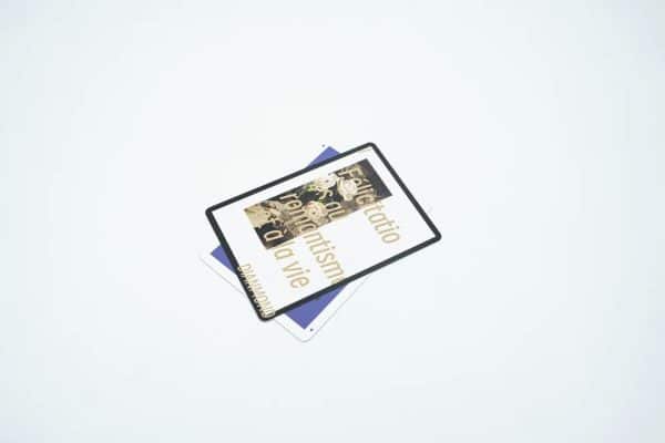 Goose V2 Playing Cards by AboutCardistry - Image 6