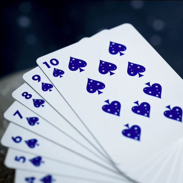 NASA Holographic Foil “Meatball” Logo Gilded- Silver Playing Cards by Fulton - Image 6
