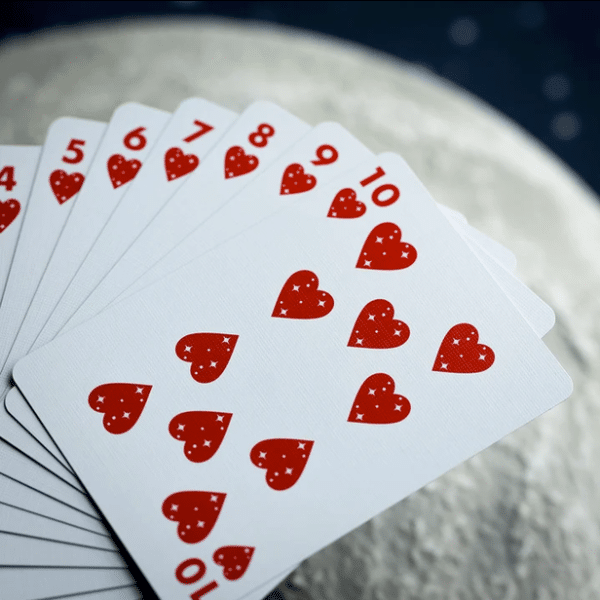 NASA Holographic Foil “Meatball” Logo Gilded- Silver Playing Cards by Fulton - Image 4