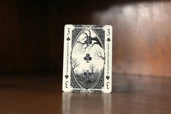 Darkfur- Scale Playing Cards by Marianne Larsen - Image 10